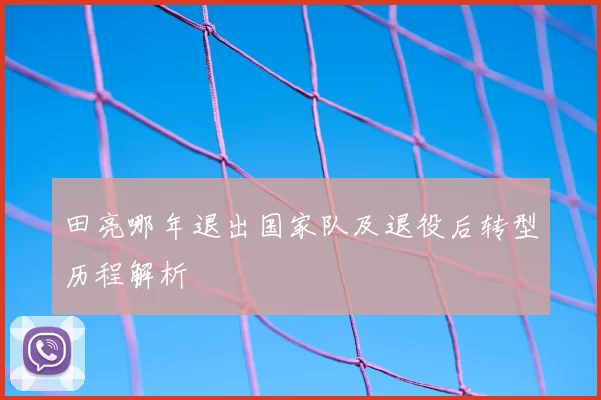 田亮哪年退出国家队及退役后转型历程解析