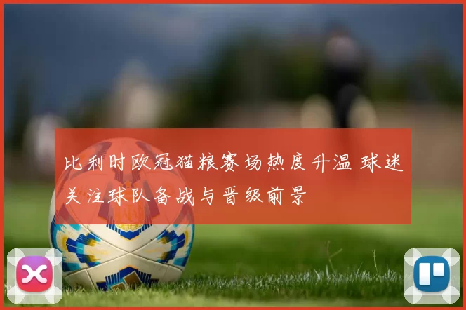比利时欧冠猫粮赛场热度升温 球迷关注球队备战与晋级前景
