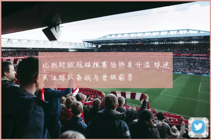 比利时欧冠猫粮赛场热度升温 球迷关注球队备战与晋级前景