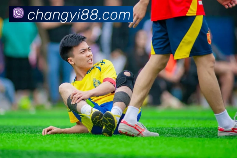 App Interface Preview